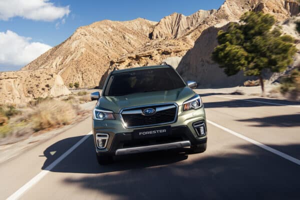 subaru forester