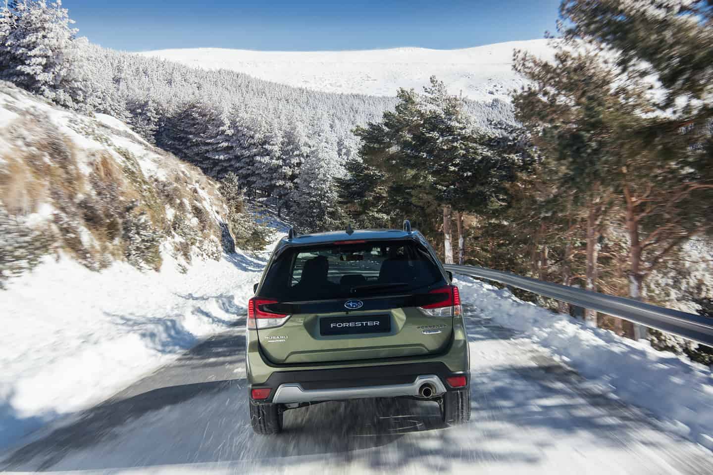 subaru wintercheck